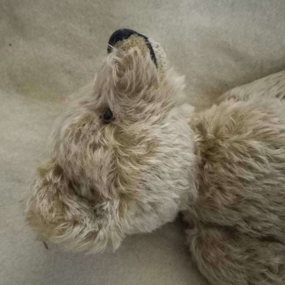 Steiff Cream Teddy Bear Authentic Tagged; Numbered - Picture 5 of 8